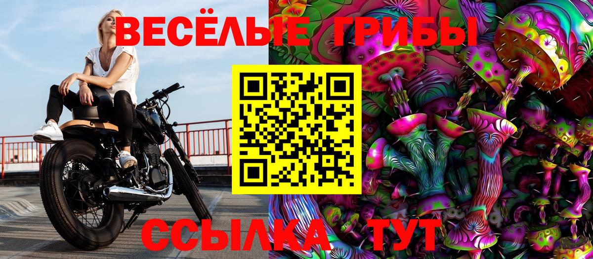 Галлюциногенные грибы Magic Shrooms  Галлюциногенные грибы Psilocybine cubensis  Вход с VPN  где купить наркоту  Белореченск 