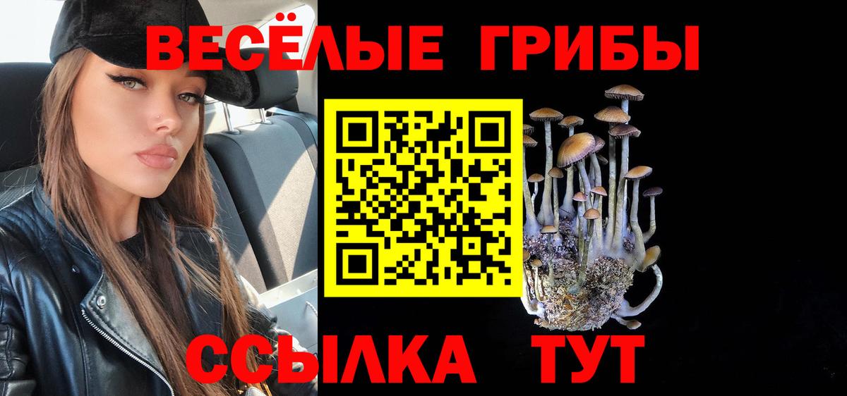 Галлюциногенные грибы мухоморы Белореченск